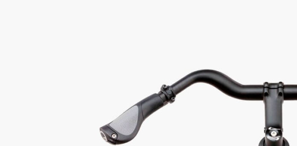 Electric bike Riese Müller Roadster handle