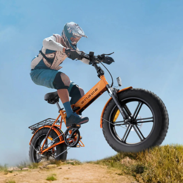 Electric bike Engwe EP 2 Pro dirt Voltride
