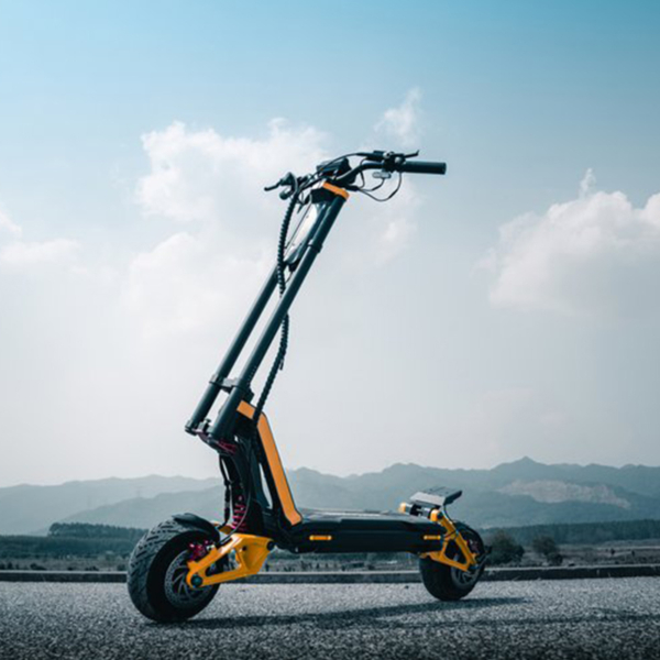 Electric scooter Inmotion RS 1