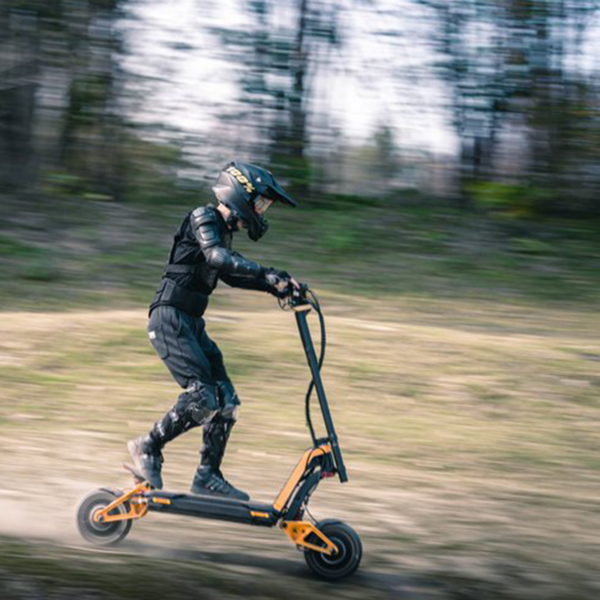 Electric scooter Inmotion RS 3