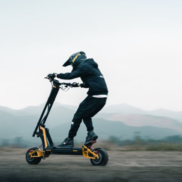 Electric scooter Inmotion RS 8