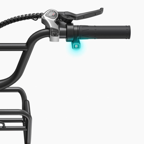Detail view of the handlebar controls and display of the L20 Boost electric bike
